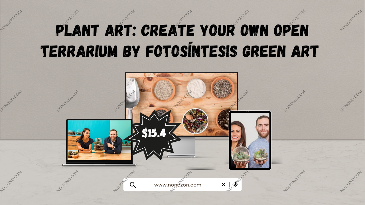 Plant Art: Create Your Own Open Terrarium