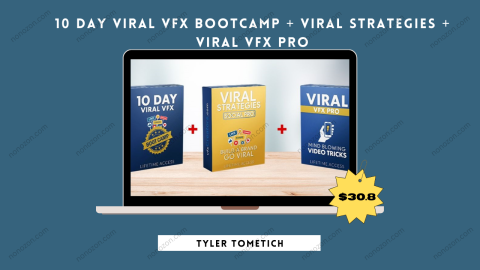 10 Day Viral VFX Bootcamp + Viral Strategies + Viral VFX Pro