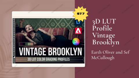 3D LUT Profile Vintage Brooklyn