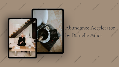 Abundance Accelerator