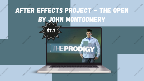 After Effects Project - The Open