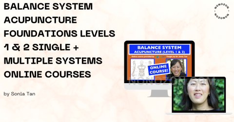 Balance System Acupuncture Foundations Levels 1 & 2 Single + Multiple Systems Online Courses