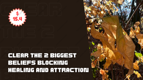 Clear the 2 Biggest Beliefs Blocking Healing and Attraction: "I Can't Afford It - and I Don't Have the Time!" A Clearing of the Subconscious Controlling Belief in "Not Enoughness"