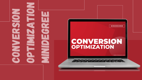 Conversion Optimization Minidegree
