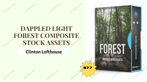 Dappled Light Forest Composite Stock Assets