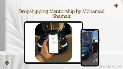 Dropshipping Mentorship
