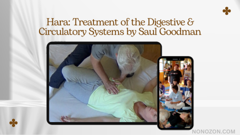 Hara: Treatment of the Digestive & Circulatory Systems