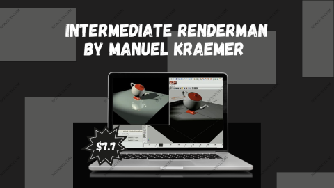 Intermediate RenderMan