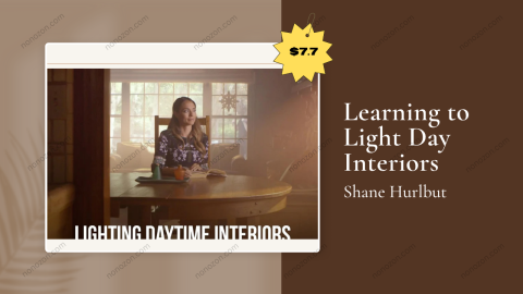 Learning to Light Day Interiors