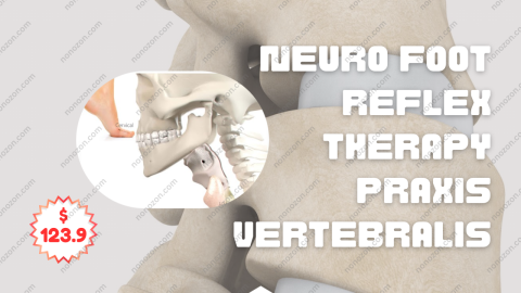 Neuro Foot Reflex Therapy Praxis Vertebralis