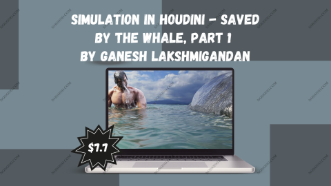 Simulation in Houdini - Saved by the Whale, Part 1