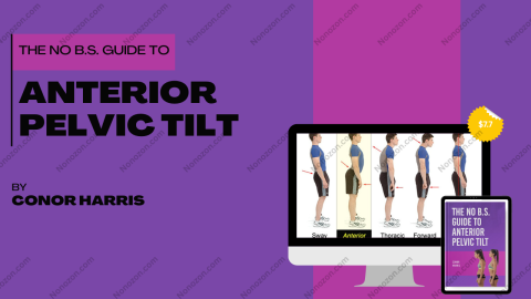 THE NO B.S. GUIDE TO ANTERIOR PELVIC TILT