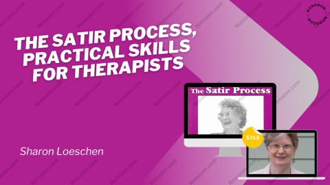 The Satir Process, Practical Skills for Therapists