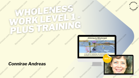 Wholeness Work Level 1 - PLUS Training