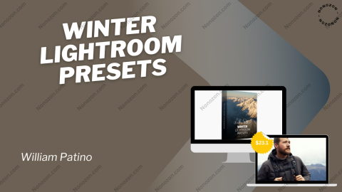 Winter Lightroom Presets