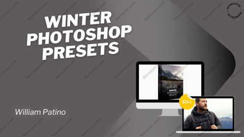 Winter Photoshop Presets